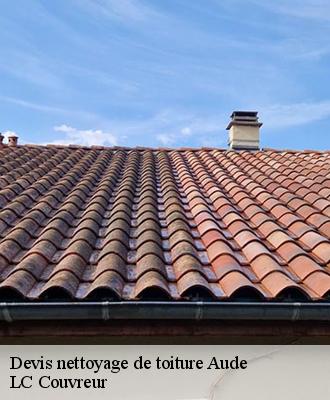 Devis nettoyage de toiture