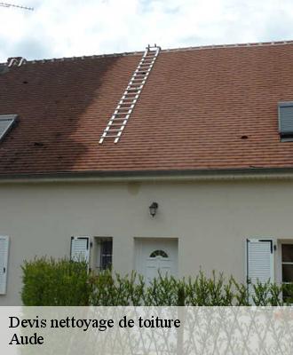 Devis nettoyage de toiture