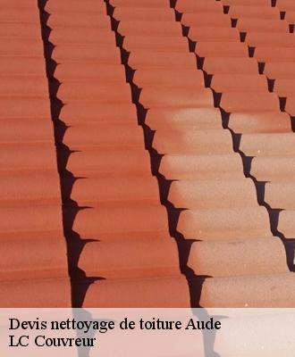 Devis nettoyage de toiture