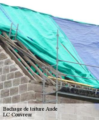 Bachage de toiture