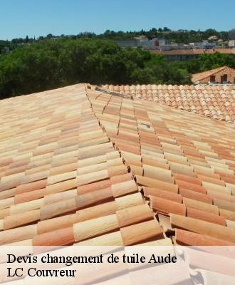 Devis changement de tuile