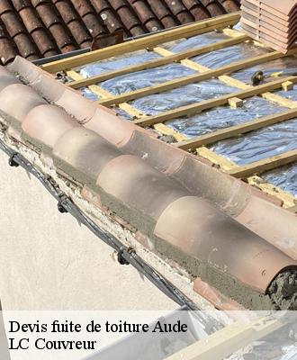 Devis fuite de toiture