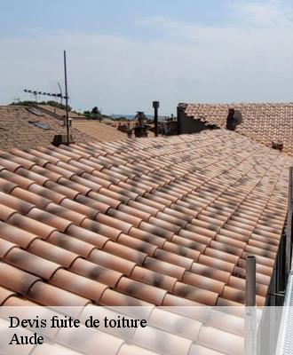 Devis fuite de toiture