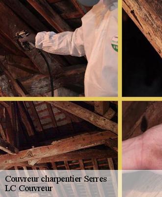 Couvreur charpentier