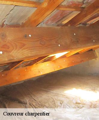 Couvreur charpentier