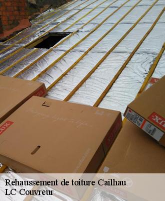 Rehaussement de toiture