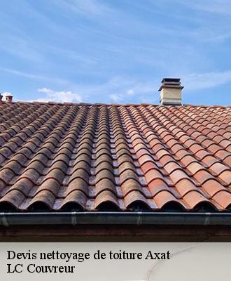 Devis nettoyage de toiture