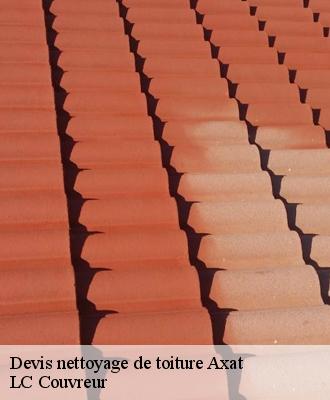 Devis nettoyage de toiture