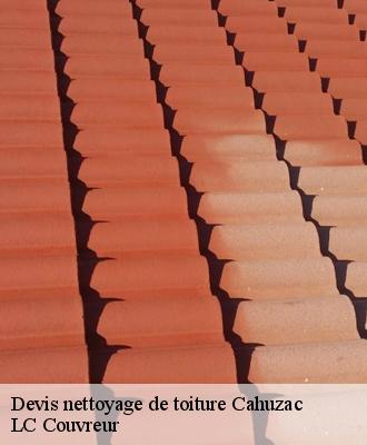 Devis nettoyage de toiture