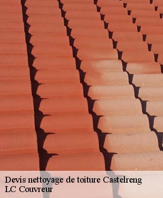 Devis nettoyage de toiture