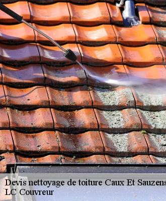 Devis nettoyage de toiture