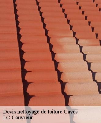 Devis nettoyage de toiture
