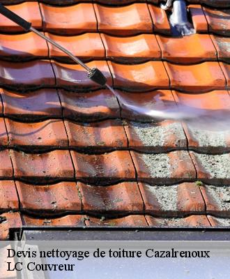 Devis nettoyage de toiture