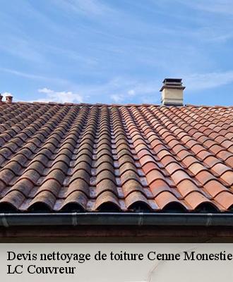 Devis nettoyage de toiture