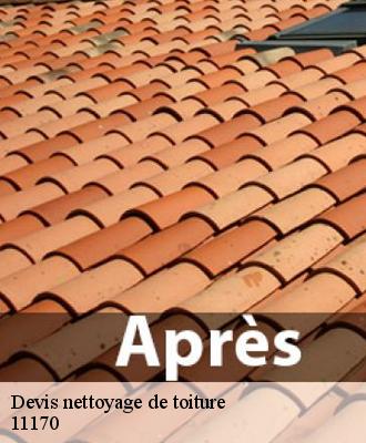 Devis nettoyage de toiture