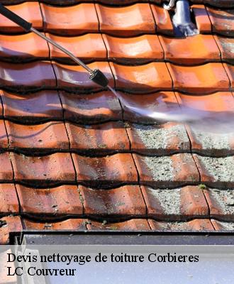Devis nettoyage de toiture