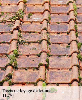 Devis nettoyage de toiture