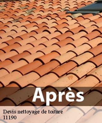 Devis nettoyage de toiture