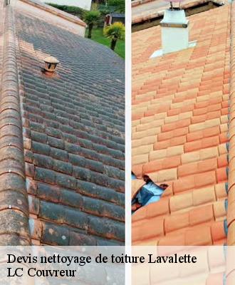 Devis nettoyage de toiture