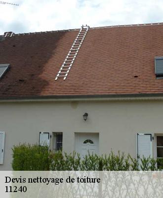 Devis nettoyage de toiture