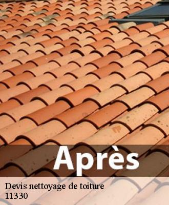Devis nettoyage de toiture