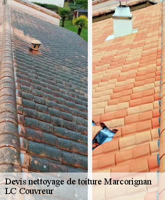 Devis nettoyage de toiture