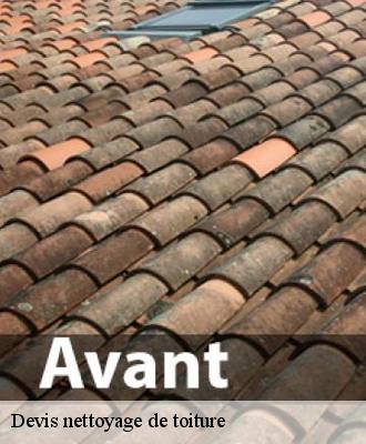 Devis nettoyage de toiture