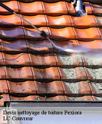 Devis nettoyage de toiture