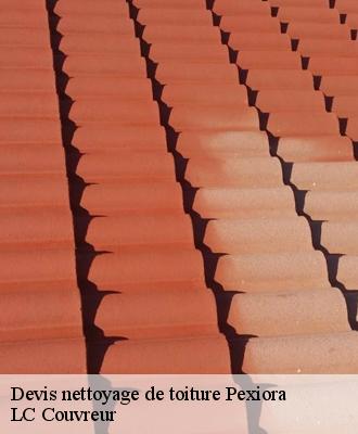 Devis nettoyage de toiture