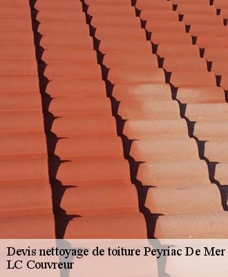 Devis nettoyage de toiture