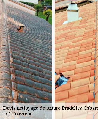 Devis nettoyage de toiture