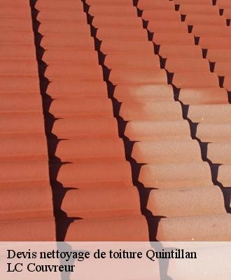 Devis nettoyage de toiture