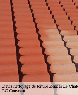 Devis nettoyage de toiture