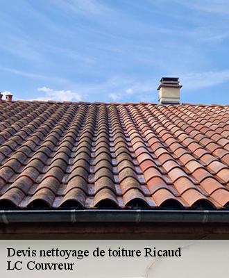 Devis nettoyage de toiture