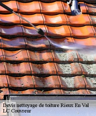 Devis nettoyage de toiture