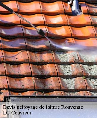 Devis nettoyage de toiture