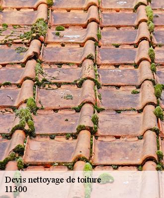 Devis nettoyage de toiture