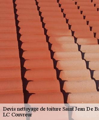 Devis nettoyage de toiture