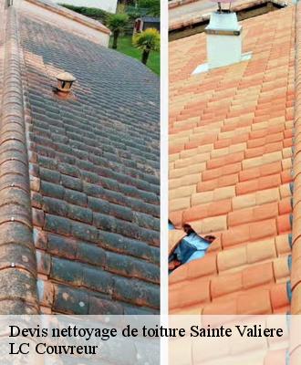 Devis nettoyage de toiture