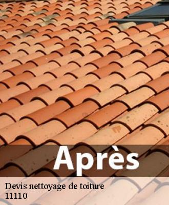 Devis nettoyage de toiture
