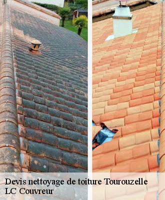 Devis nettoyage de toiture