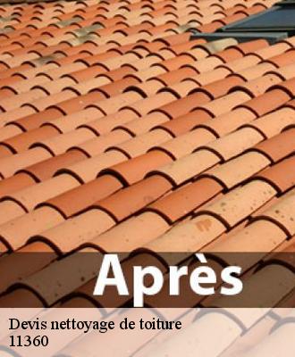 Devis nettoyage de toiture