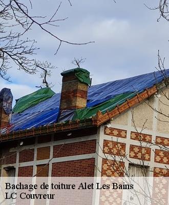 Bachage de toiture