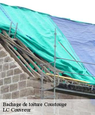 Bachage de toiture