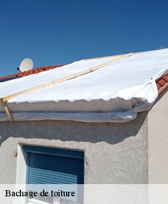 Bachage de toiture