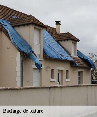 Bachage de toiture