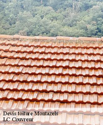 Devis toiture