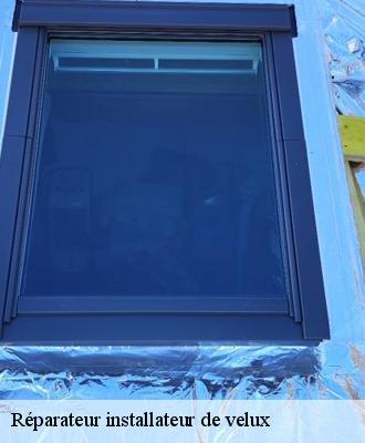 Réparateur installateur de velux