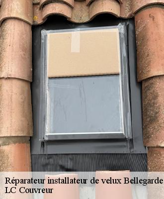 Réparateur installateur de velux