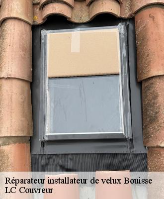 Réparateur installateur de velux